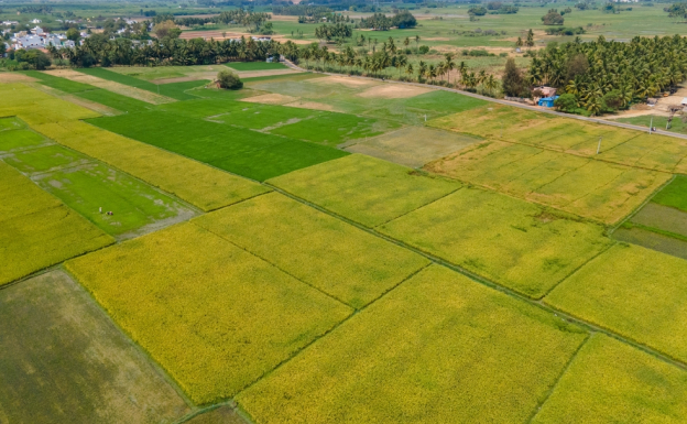 Saffron Valley Experience 1